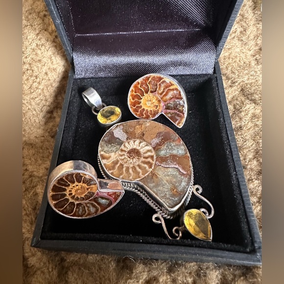 Amazing custom made Ammonite Fossil Jewelry Set with Citrine Accents - Picture 4 of 7